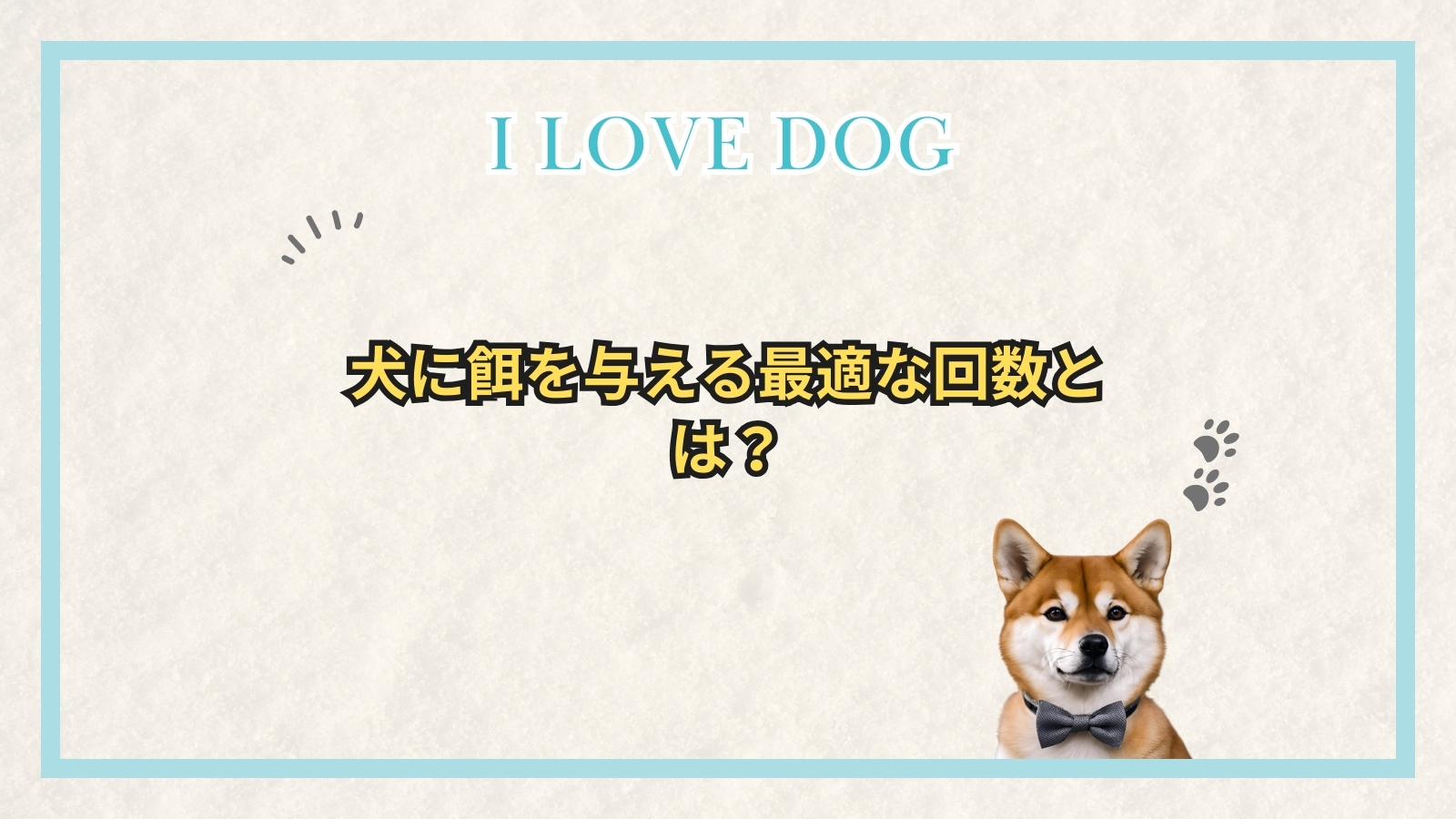 犬に餌を与える最適な回数とは？