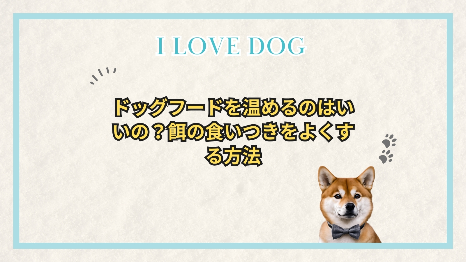 ドッグフードを温めるのはいいの？餌の食いつきをよくする方法