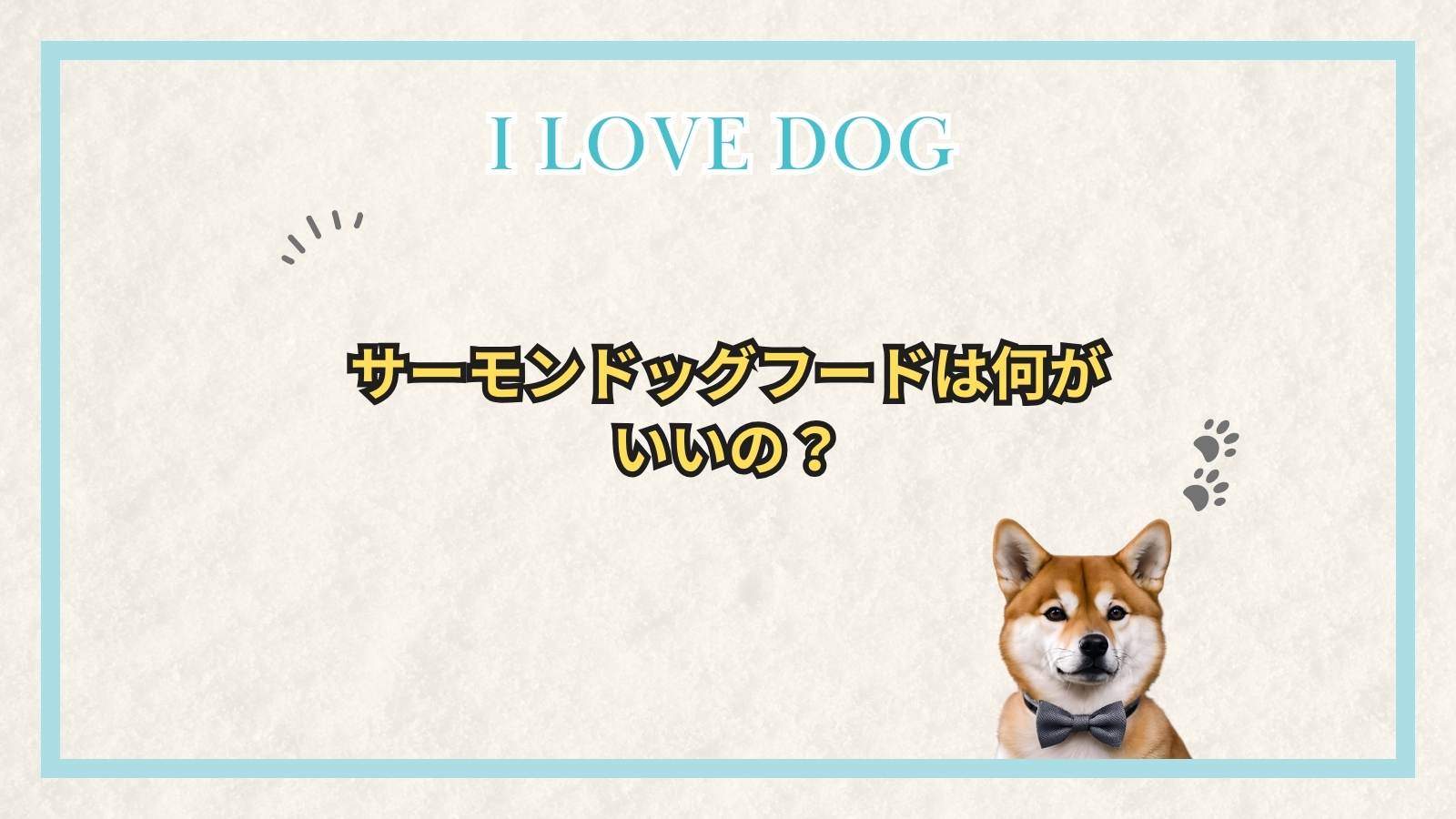 サーモンドッグフードは何がいいの？